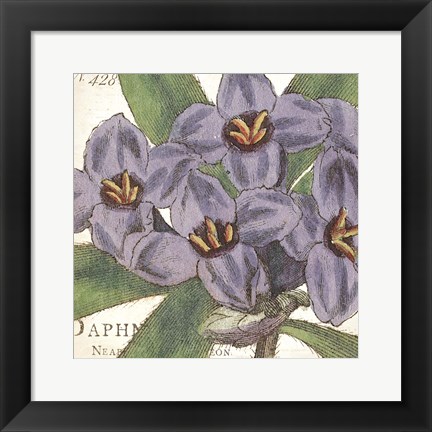 Framed Purple Floral Print