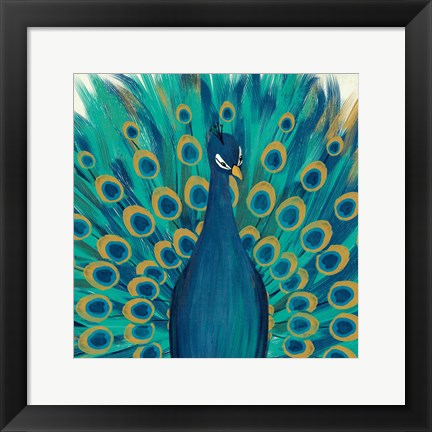 Framed Proud as a Peacock I Print