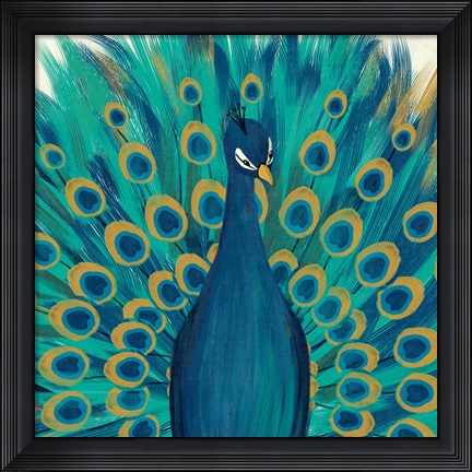 Framed Proud as a Peacock I Print