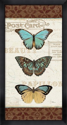 Framed Papillons II Print