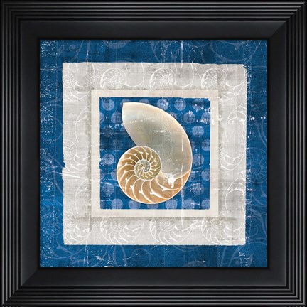 Framed Sea Shell II on Blue Print