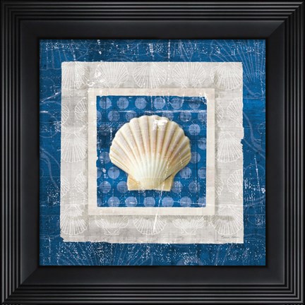 Framed Sea Shell III on Blue Print