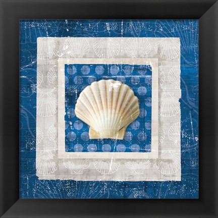 Framed Sea Shell III on Blue Print