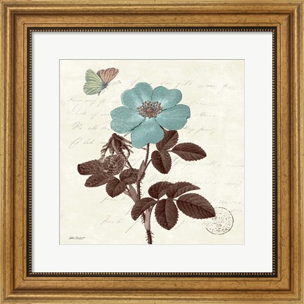 Framed Touch of Blue II Print