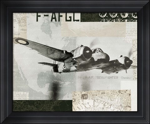 Framed Wings Collage III Print
