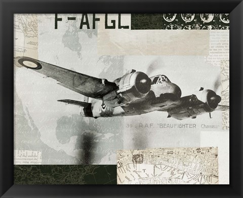 Framed Wings Collage III Print