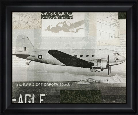 Framed Wings Collage IV Print