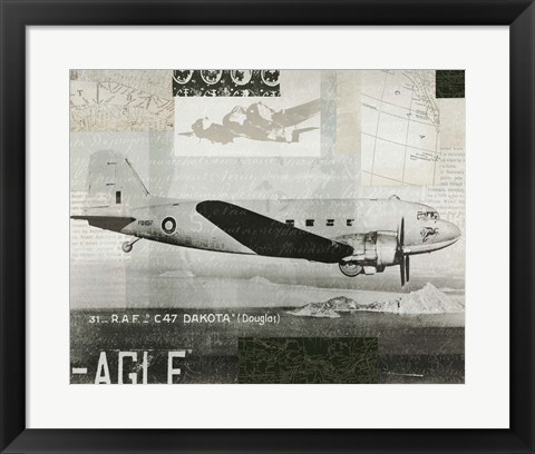 Framed Wings Collage IV Print
