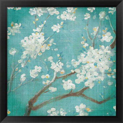 Framed White Cherry Blossoms I on Blue Aged No Bird Print