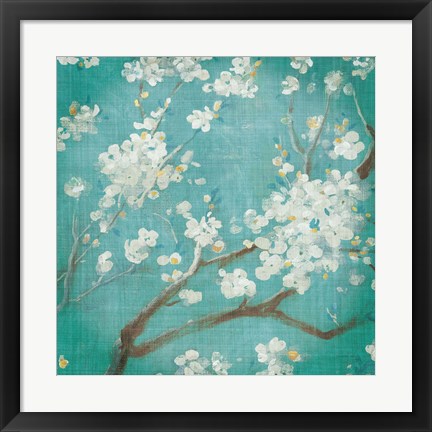 Framed White Cherry Blossoms I on Blue Aged No Bird Print