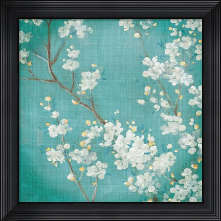 Framed White Cherry Blossoms II on Blue Aged No Bird Print
