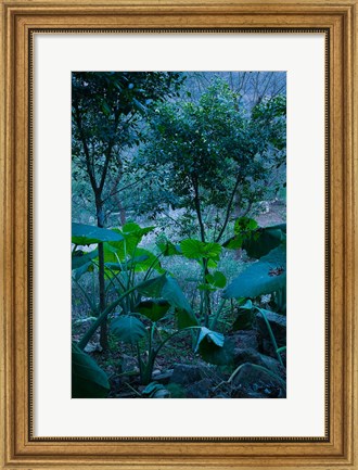 Framed Temple Garden, Fengdu, Chongqing Province, China Print
