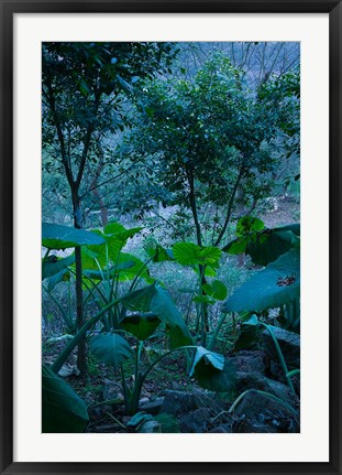 Framed Temple Garden, Fengdu, Chongqing Province, China Print