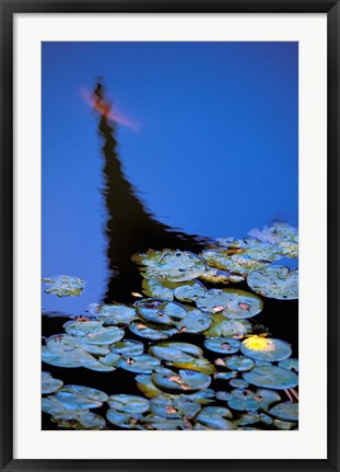 Framed Lily Pond and Temple Reflection in Blue, China Print