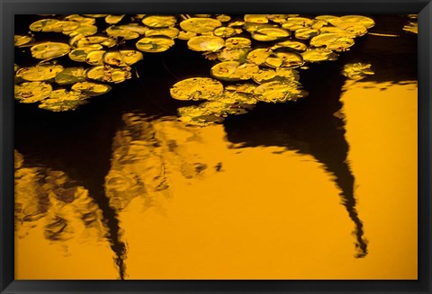 Framed Lily Pond and Temple Reflection in Yellow, China Print