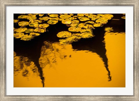 Framed Lily Pond and Temple Reflection in Yellow, China Print