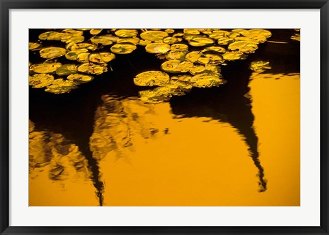 Framed Lily Pond and Temple Reflection in Yellow, China Print