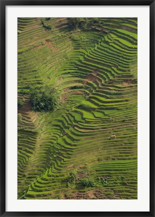 Framed Rice Terraces of the Ailao Mountains, China Print