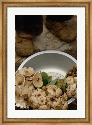Framed Wild Mushrooms For Sale, Honghe Prefecture, Yunnan Province, China Print