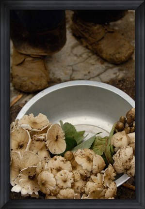 Framed Wild Mushrooms For Sale, Honghe Prefecture, Yunnan Province, China Print