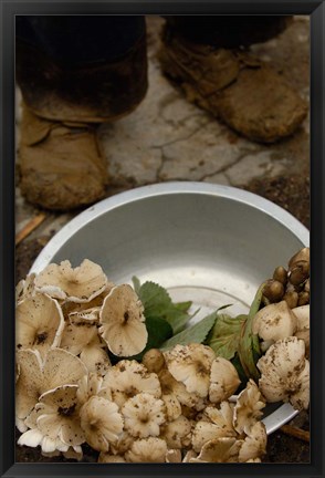 Framed Wild Mushrooms For Sale, Honghe Prefecture, Yunnan Province, China Print