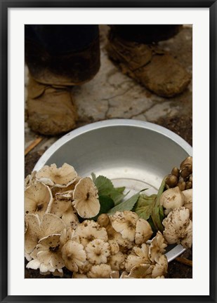 Framed Wild Mushrooms For Sale, Honghe Prefecture, Yunnan Province, China Print