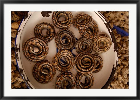 Framed Dried Snakes in Kunming Traditional Medicine Market, Yunnan Province, China Print