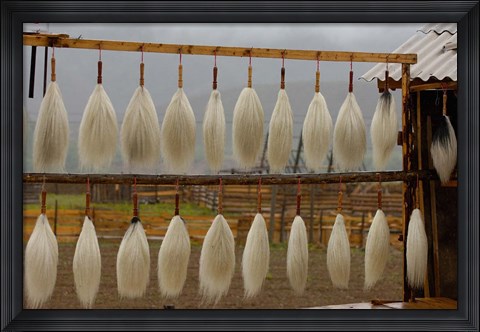 Framed Yak Tails For Sale, Zhongdian, Yunnan Province, China Print