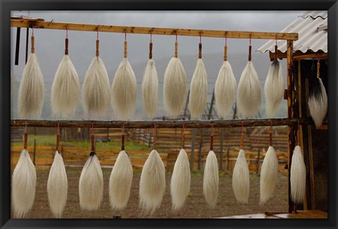 Framed Yak Tails For Sale, Zhongdian, Yunnan Province, China Print