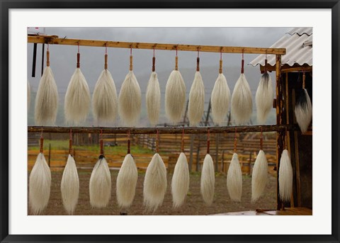 Framed Yak Tails For Sale, Zhongdian, Yunnan Province, China Print