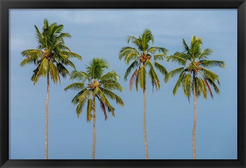 Framed Coconut trees in Backwaters, Kerala, India Print