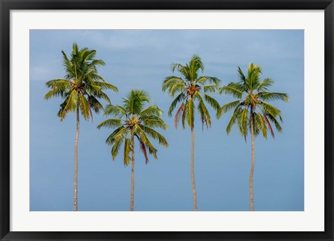 Framed Coconut trees in Backwaters, Kerala, India Print