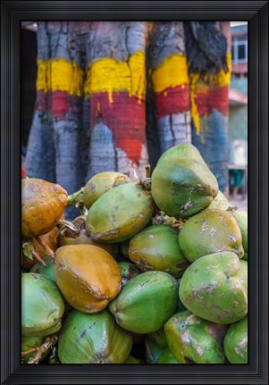 Framed Pile of Coconuts, Bangalore, India Print
