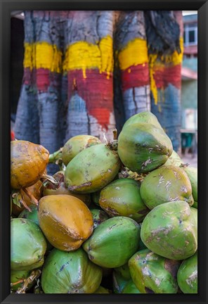 Framed Pile of Coconuts, Bangalore, India Print