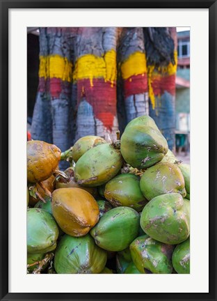 Framed Pile of Coconuts, Bangalore, India Print