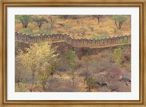 Framed Ancient wall around old fort above Udaipur, India Print