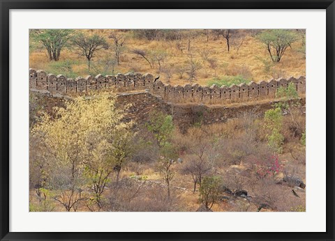Framed Ancient wall around old fort above Udaipur, India Print