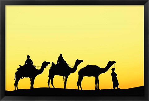 Framed Camels and driver at sunset, Thar Desert, Jodhpur, India Print