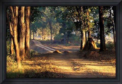 Framed Rural Road, Kanha National Park, India Print