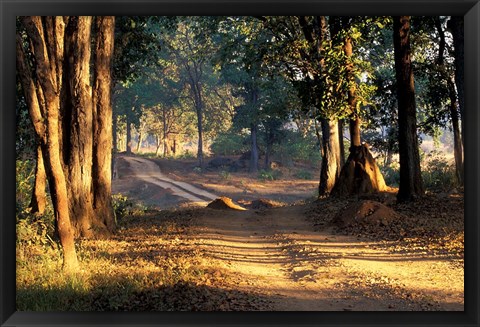 Framed Rural Road, Kanha National Park, India Print