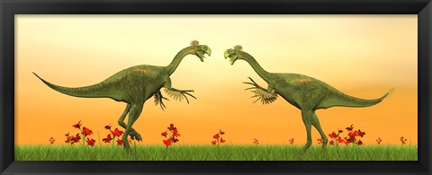 Framed Two Gigantoraptor dinosaurs fighting on green grass by sunset Print