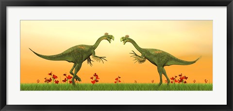 Framed Two Gigantoraptor dinosaurs fighting on green grass by sunset Print