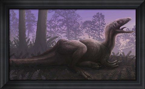 Framed Concavenator corcovatus with a strange crest on its back Print