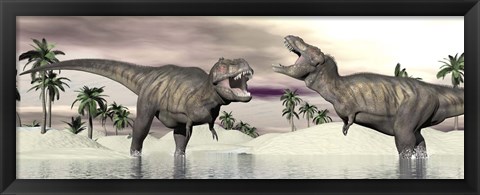 Framed Two Tyrannosaurus rex dinosaurs fighting in the water Print