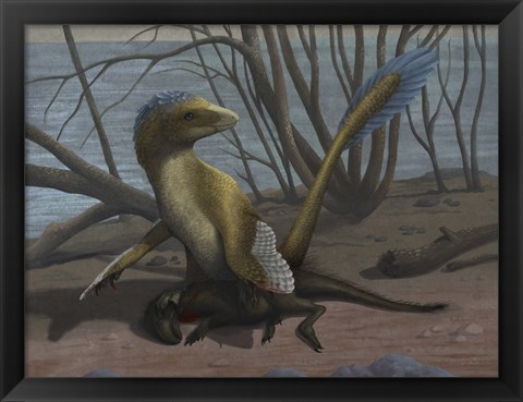 Framed Deinonychus protects its kill, a psittacosaurid dinosaur Print