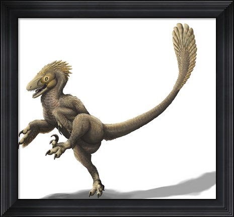 Framed Balaur bondoc, a strange Romanian dromaeosaur Print