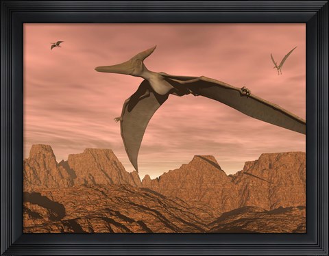 Framed Three pteranodon dinosaurs flying above rocky landscape Print