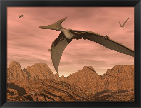 Framed Three pteranodon dinosaurs flying above rocky landscape Print