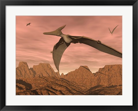 Framed Three pteranodon dinosaurs flying above rocky landscape Print