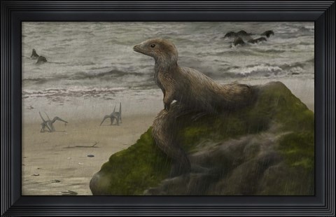 Framed Sciurumimus, a possible baby megalosaurid theropod Print